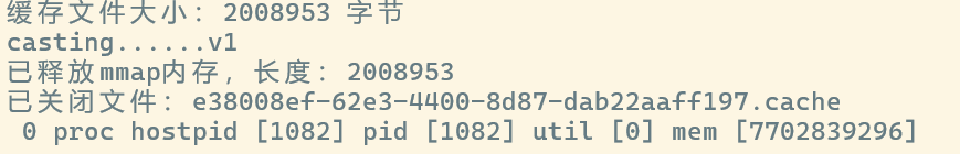 cache 文件解析结果